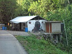 Archivo:052 pot v Palenque (39)