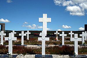 Archivo:Argentinegraveseastfalkland