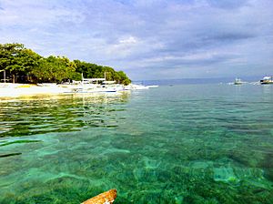 Archivo:Balicasag Marine Sanctuary, Bohol, Philippines 01