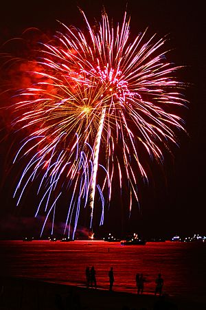 Archivo:Beach Fireworks FLL 2014 4x6 JTPI 8673 Crop (14602266435)