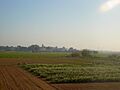 Cal Felip i camps del delta del Llobregat