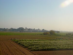 Archivo:Cal Felip i camps del delta del Llobregat