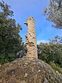 Castell de Montmajor 2