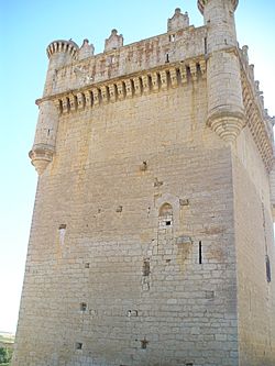 Archivo:Castillo de Belmonte de Campos