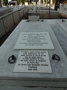 Archivo:Cementerio Cristóbal Colón 127