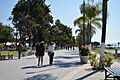 Chapala035