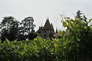 Archivo:Chateau d'Echandens DSC 6710