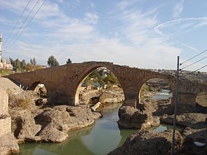 Archivo:Delal Bridge in Zakho (201)