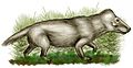 Diademodon