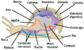 Figure 28 03 08(1)-es