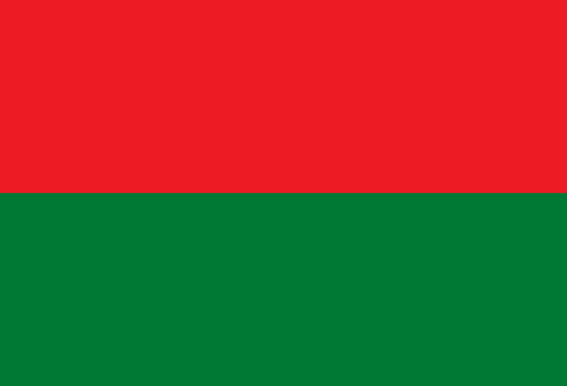 Flag of Vitichi, Bolivia