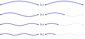 Archivo:Harmonic series on a string