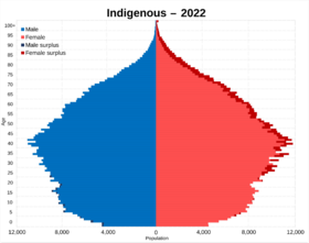 Archivo:Indigenous peoples in Argentina in 2022 population pyramid