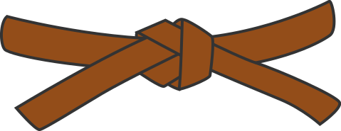 Judo brown belt