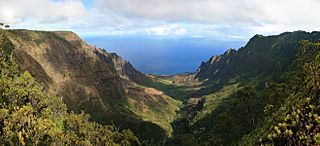 Kalalau Valley viewed from the Na Pali Kona Forest Reserve Pihea Trail.jpg