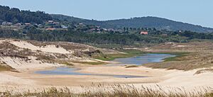 Archivo:Lagoa de San Pedro de Muro. Xuño. Porto do Son. Galiza -F9