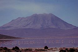 Laguna de Salinas Huito.jpg