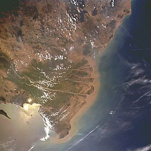Archivo:Mekong delta