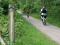MountainBikeTrail