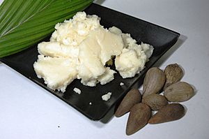Archivo:Murumuru butter
