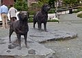 Newfoundland and Labrador statues in St John's