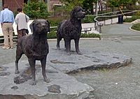 Archivo:Newfoundland and Labrador statues in St John's