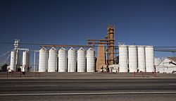 Olton Texas grain silos 2011.jpg