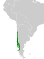 Patagioenas araucana map