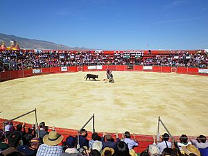 Archivo:Plaza de toros de El Ejido
