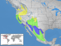 Sialia mexicana distribution
