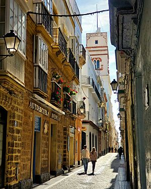 Archivo:Torre Tavira desde la calle Sacramento.