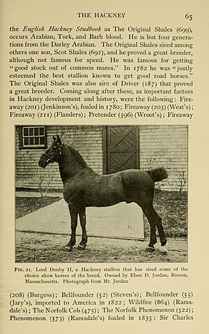 Archivo:Types and breeds of farm animals (Page 65) BHL23742009