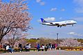 UNITED Airlines B747-400 landing at Tokyo Narita Airport