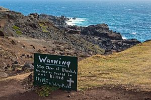 Archivo:Warning Sign at Nakalele Point