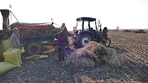 Archivo:Wuchang, Harbin, Heilongjiang, China - panoramio (96)