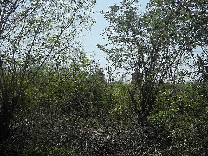 Yaxnic, Yucatán (08)