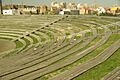 ® MADRID P.L.M. PARQUE MANZANARES-AUDITORIO - panoramio (3)