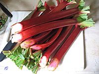 Archivo:01-rhubarb stalks