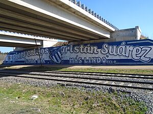 Archivo:Acceso a Tristán Suárez por la Ruta Nacional 205