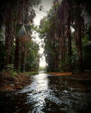 Archivo:Alrededores Villanueva