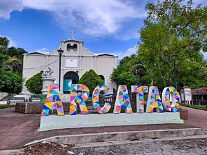 Archivo:Arcataofoto22