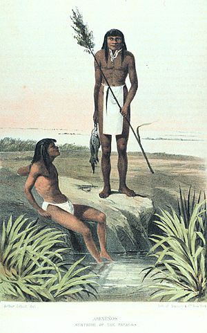 Archivo:Arenenos