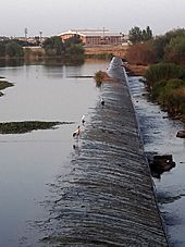 Archivo:Azud en el río Guadiana a su paso por Badajoz