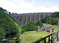 Badgernet Clywedog reservoir 1