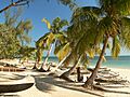 Beach in Madagascar with pirogues and palm trees