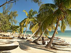 Beach in Madagascar with pirogues and palm trees