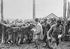 Archivo:Bundesarchiv Bild 146-1979-113-04, Lager Winnica, gefangene Russen