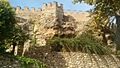 Castillo de la Madera
