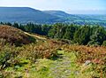 Cleveland Way at Live Moor