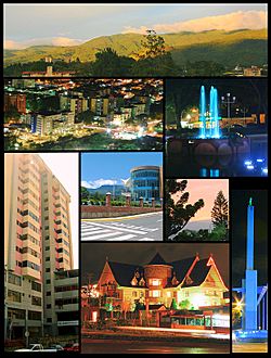 CollageSCB.jpg